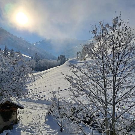 Ferienwohnungen Lehenhof Алпбах Екстериор снимка