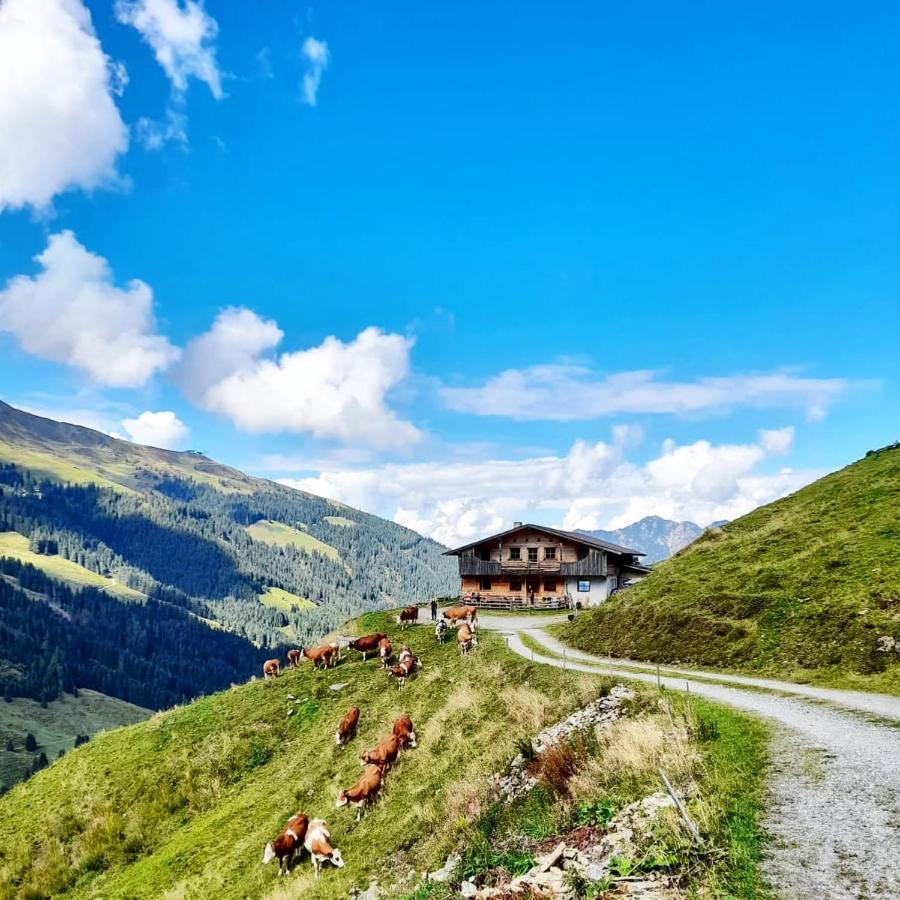 Ferienwohnungen Lehenhof Алпбах Екстериор снимка