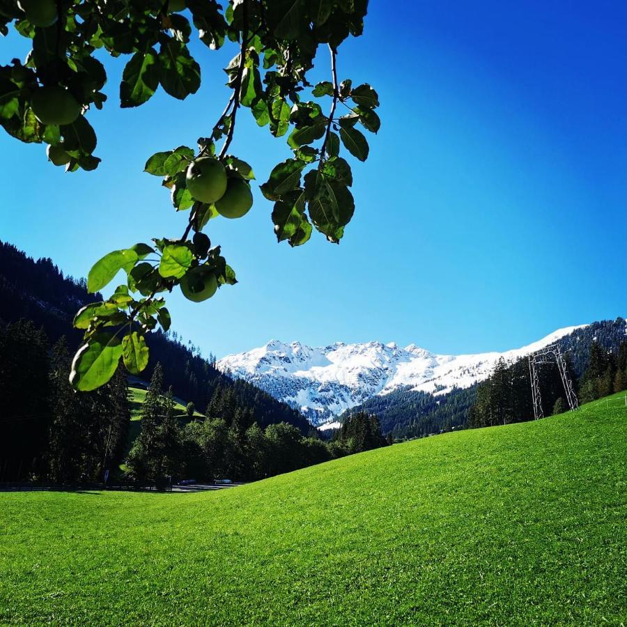 Ferienwohnungen Lehenhof Алпбах Екстериор снимка